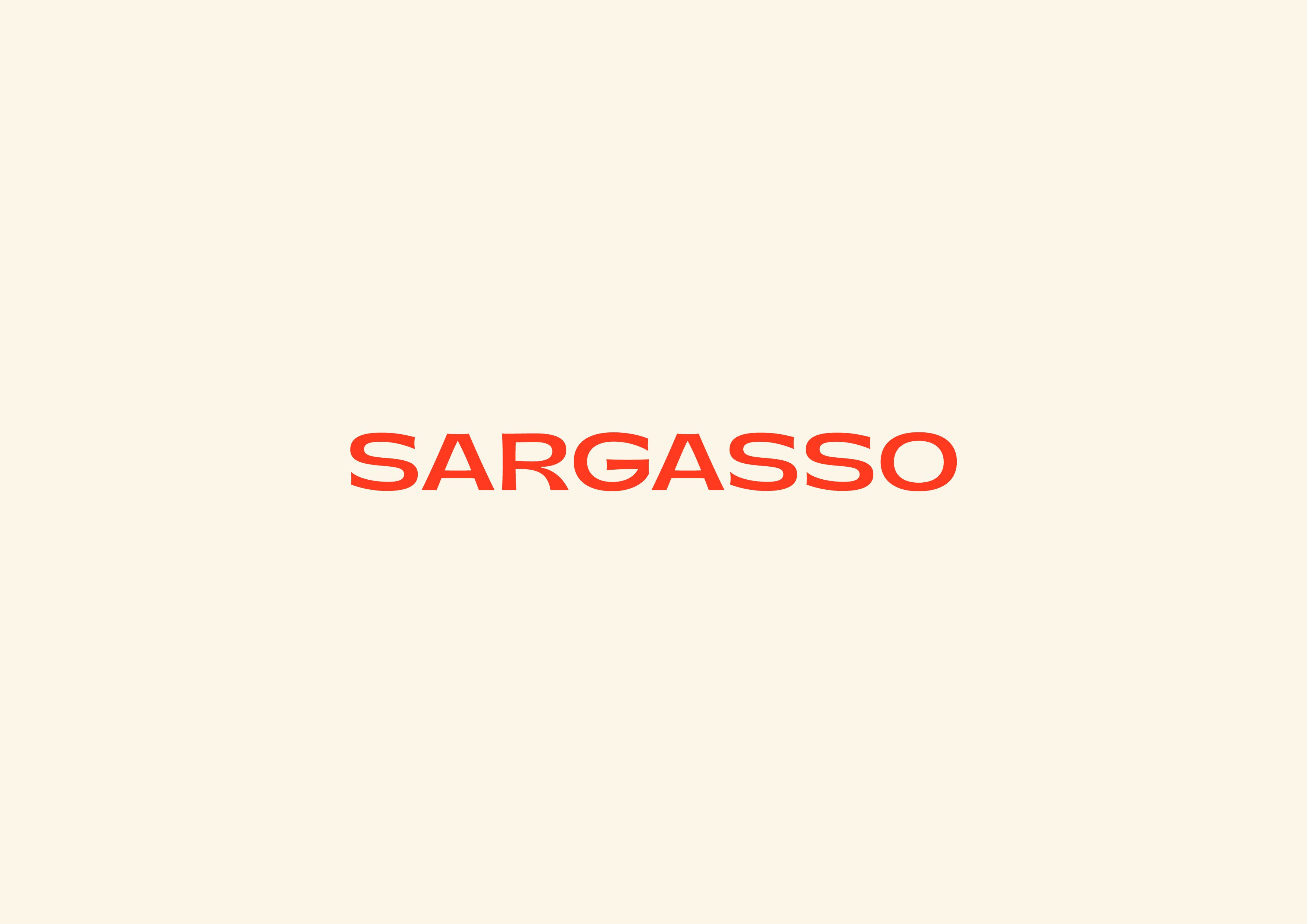 Sarasso Color Code Sargasso Jobs & Workplace Culture | Countertalk
